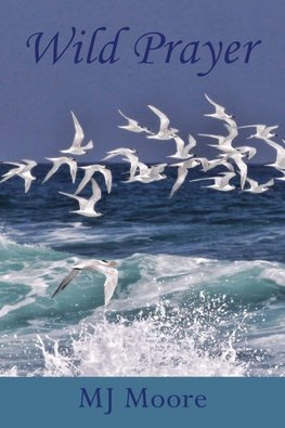 Wild Prayer