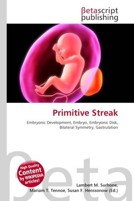 Primitive Streak