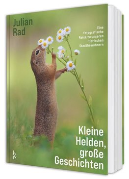 Kleine Helden - große Geschichten