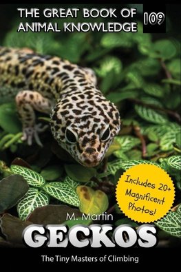 Geckos