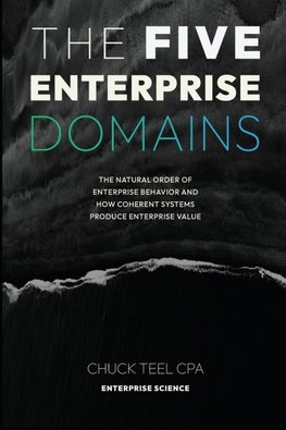 The Five Enterprise Domains