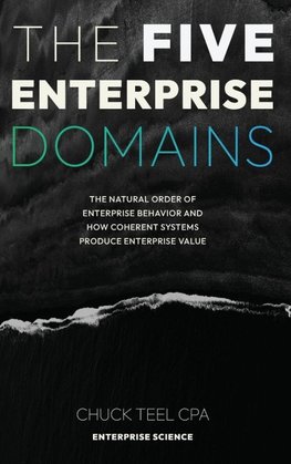 The Five Enterprise Domains