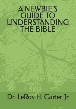 A NEWBIE'S GUIDE TO UNDERSTANDING THE BIBLE