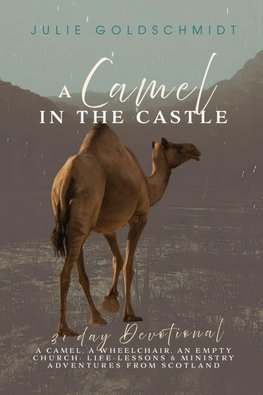 A Camel in the Castle