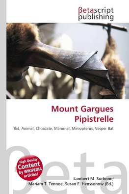Mount Gargues Pipistrelle