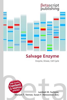 Salvage Enzyme