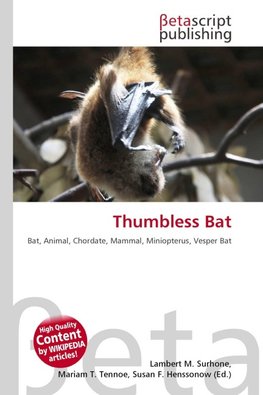 Thumbless Bat