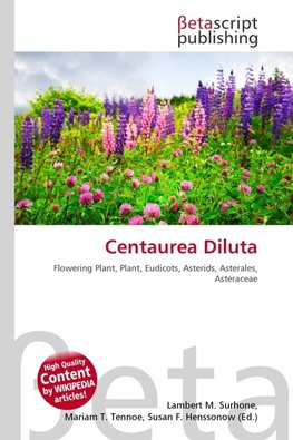 Centaurea Diluta