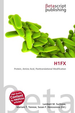 H1FX