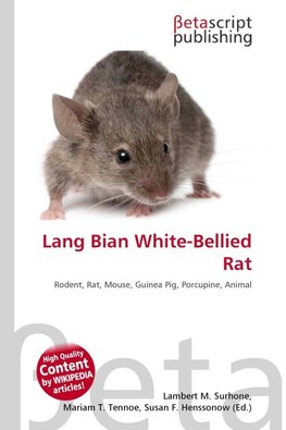 Lang Bian White-Bellied Rat