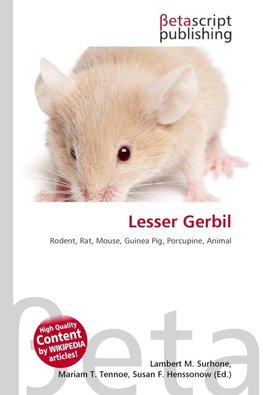 Lesser Gerbil