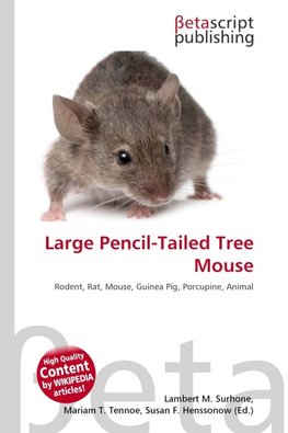 Large Pencil-Tailed Tree Mouse