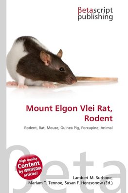 Mount Elgon Vlei Rat, Rodent