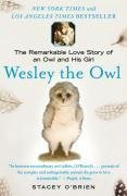 Wesley the Owl