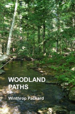 Woodland Paths