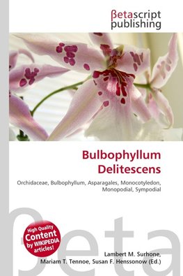 Bulbophyllum Delitescens