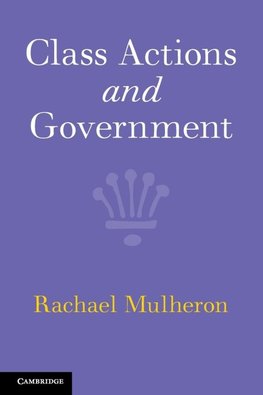 Class Actions and Government