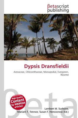 Dypsis Dransfieldii