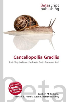 Cancellopollia Gracilis