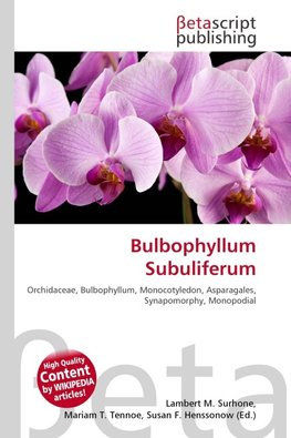 Bulbophyllum Subuliferum