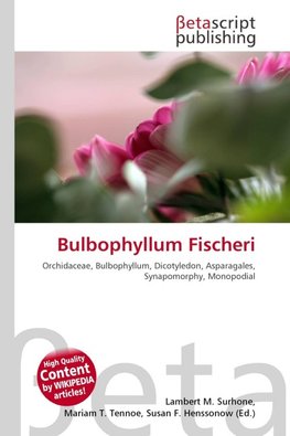 Bulbophyllum Fischeri