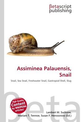 Assiminea Palauensis, Snail