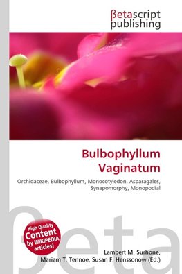 Bulbophyllum Vaginatum
