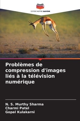 Problèmes de compression d'images liés à la télévision numérique