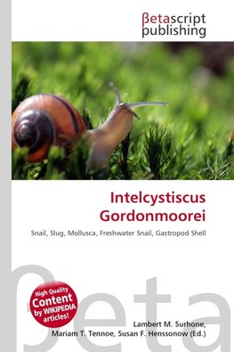 Intelcystiscus Gordonmoorei