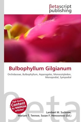 Bulbophyllum Gilgianum