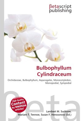 Bulbophyllum Cylindraceum