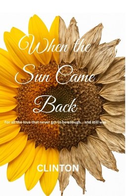 When the Sun Came Back