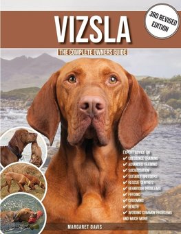 Vizsla