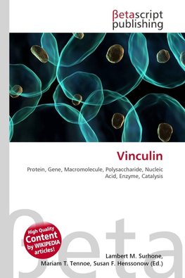 Vinculin