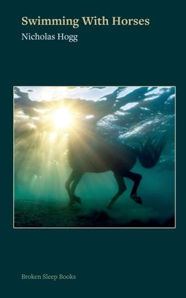 Swimming with Horses