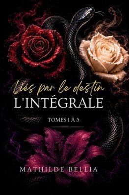 Liés par le destin - La Trilogie complète