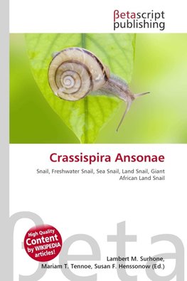 Crassispira Ansonae