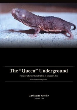 The Queen Underground