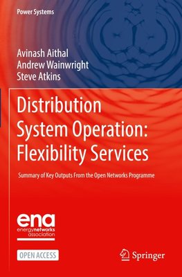 Distribution System Operation: Flexibility Services