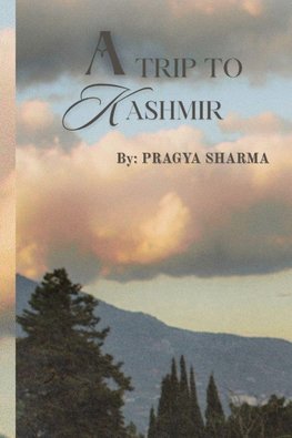 A Trip To Kashmir