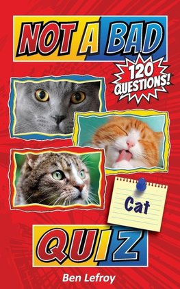 Not A Bad Cat Quiz