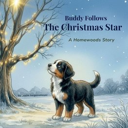 Buddy Follows the Christmas Star