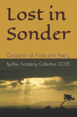 Lost in Sonder