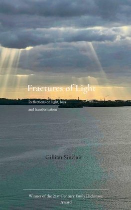 Fractures of Light Reflections on light, loss and transformation