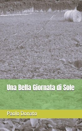 Una Bella Giornata di Sole