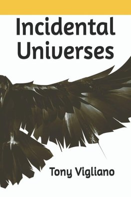 Incidental Universes