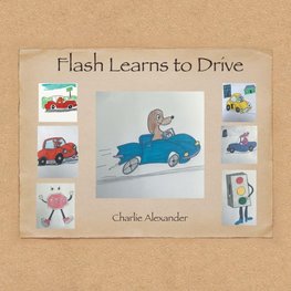 Flash Learns to Drive