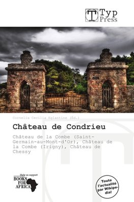 Château de Condrieu