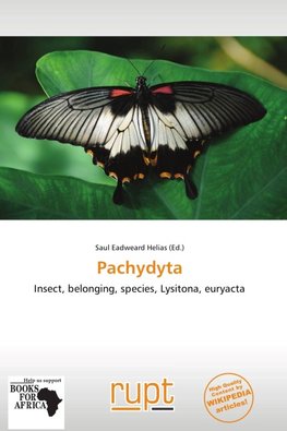 Pachydyta