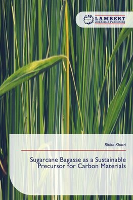Sugarcane Bagasse as a Sustainable Precursor for Carbon Materials